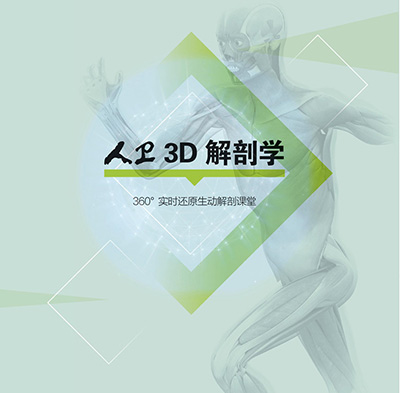 人卫3D解剖学