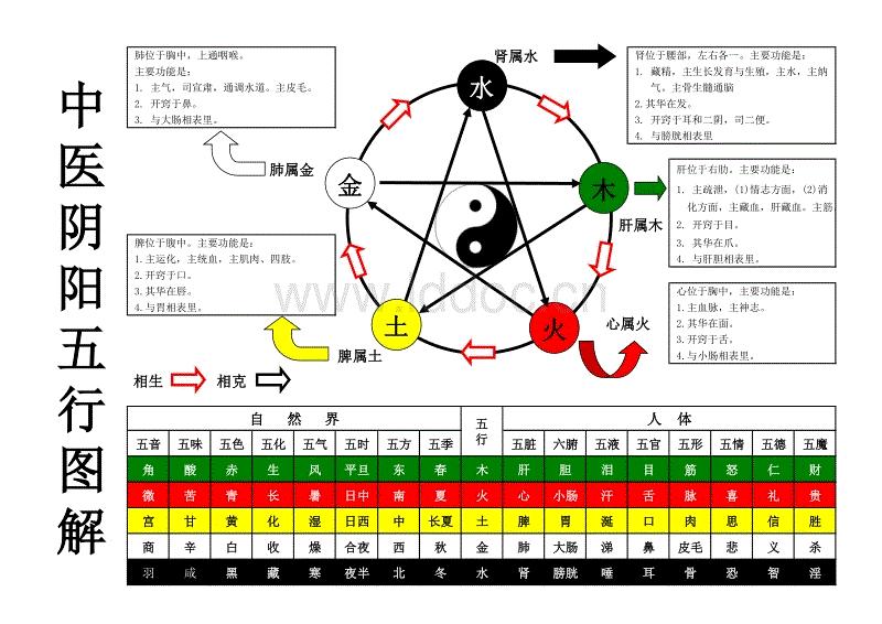 中医五行学说的主要内容