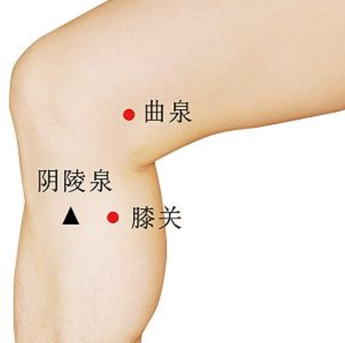 膝关穴位的作用